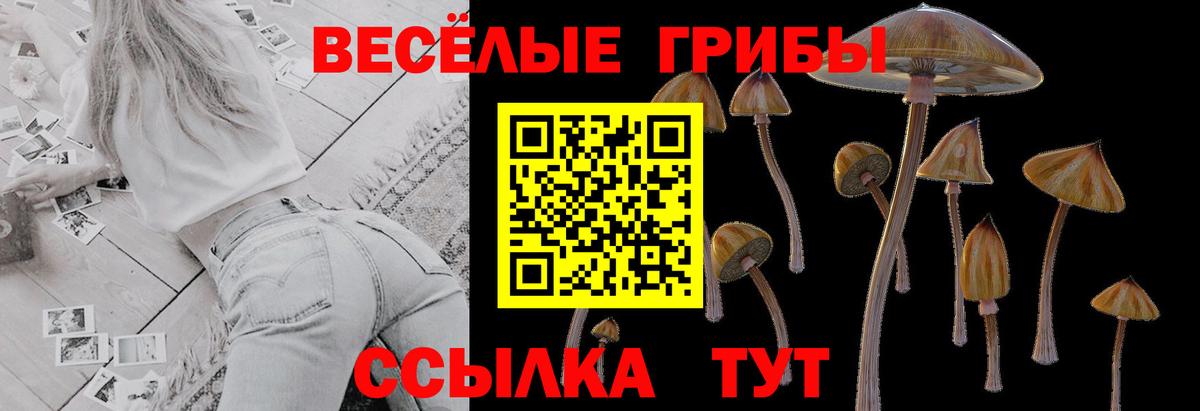Псилоцибиновые грибы MAGIC MUSHROOMS Сергиев Посад